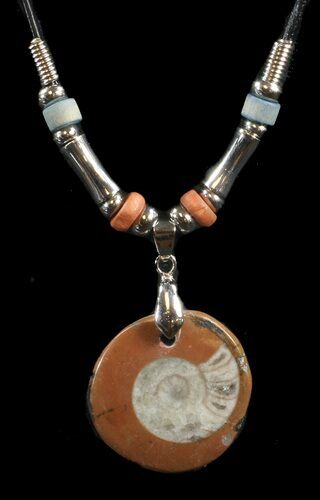 Polished Goniatite Fossil Necklace #43085